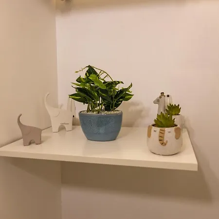Amuni 아파트
